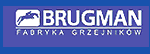 brugman logo